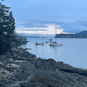 Meet your Posher, Liam